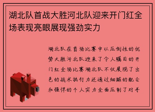 湖北队首战大胜河北队迎来开门红全场表现亮眼展现强劲实力