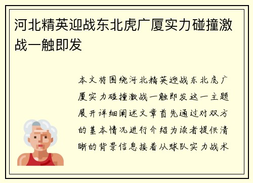 河北精英迎战东北虎广厦实力碰撞激战一触即发