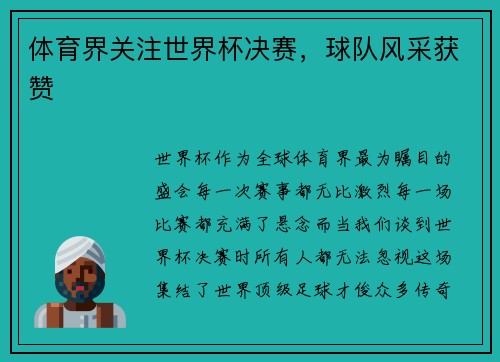 体育界关注世界杯决赛，球队风采获赞