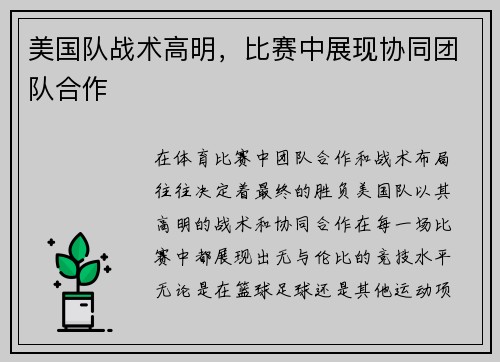 美国队战术高明，比赛中展现协同团队合作
