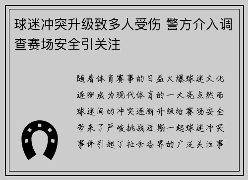 球迷冲突升级致多人受伤 警方介入调查赛场安全引关注